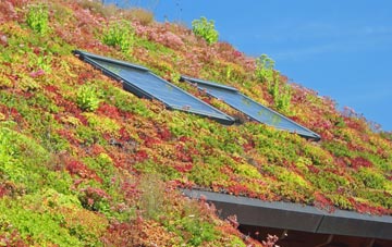 Glan Y Don living roof systems