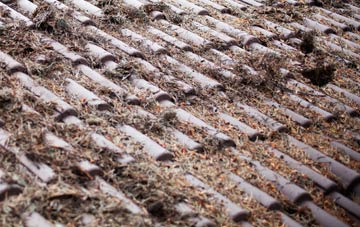 Glan Y Don roof cleaning companies